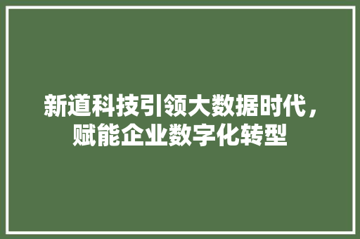 新道科技引领大数据时代，赋能企业数字化转型  第1张
