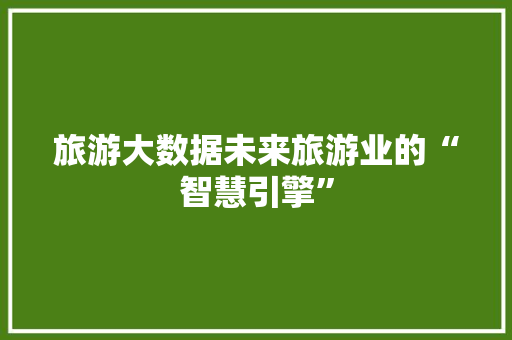 旅游大数据未来旅游业的“智慧引擎”  第1张