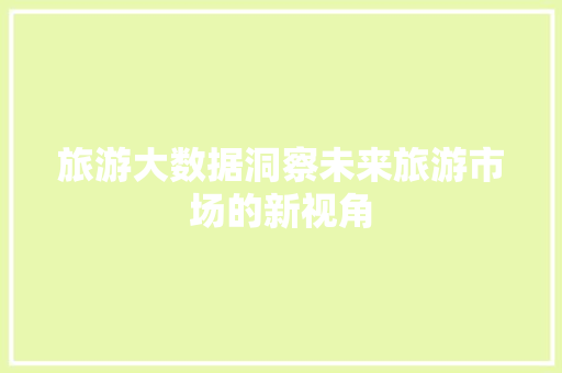 旅游大数据洞察未来旅游市场的新视角  第1张
