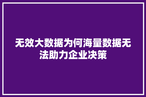 无效大数据为何海量数据无法助力企业决策  第1张