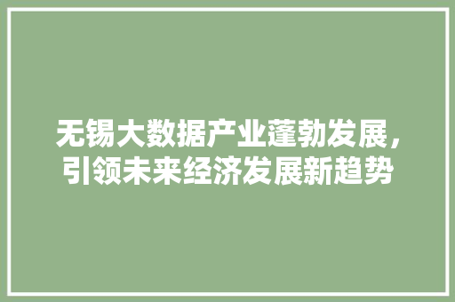无锡大数据产业蓬勃发展，引领未来经济发展新趋势