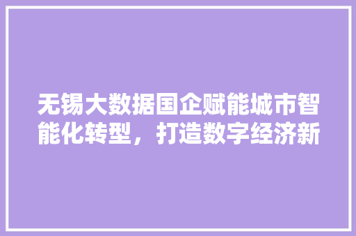 无锡大数据国企赋能城市智能化转型，打造数字经济新引擎