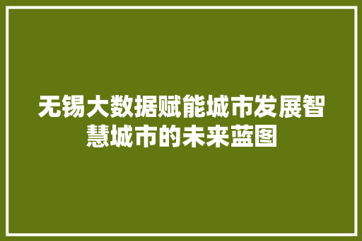 无锡大数据赋能城市发展智慧城市的未来蓝图  第1张