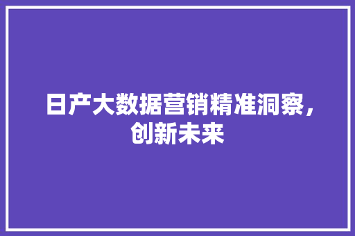 日产大数据营销精准洞察，创新未来