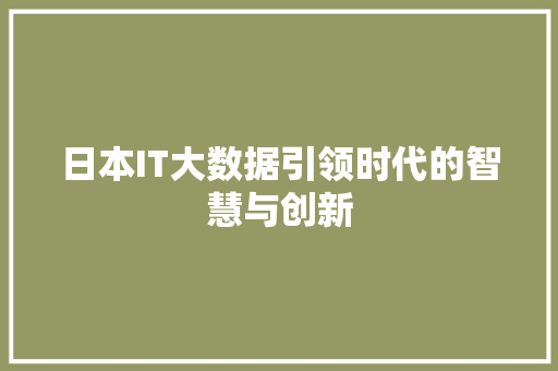 日本IT大数据引领时代的智慧与创新  第1张