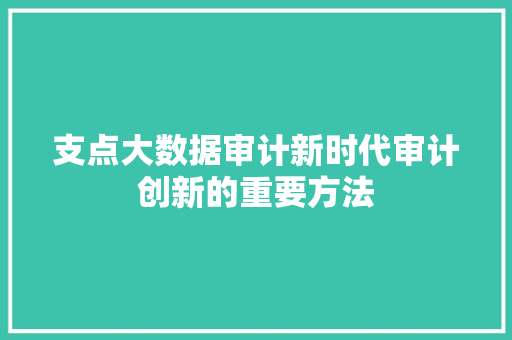 支点大数据审计新时代审计创新的重要方法  第1张