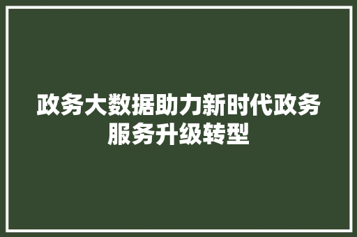 政务大数据助力新时代政务服务升级转型  第1张