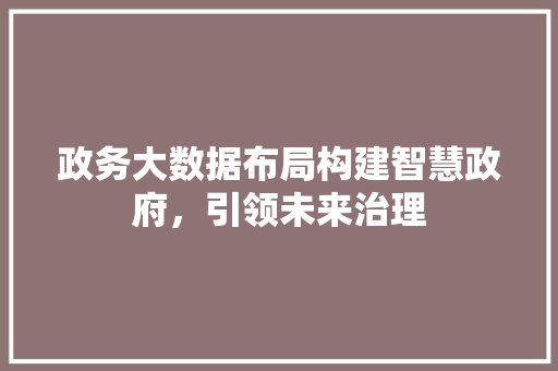 政务大数据布局构建智慧政府，引领未来治理  第1张