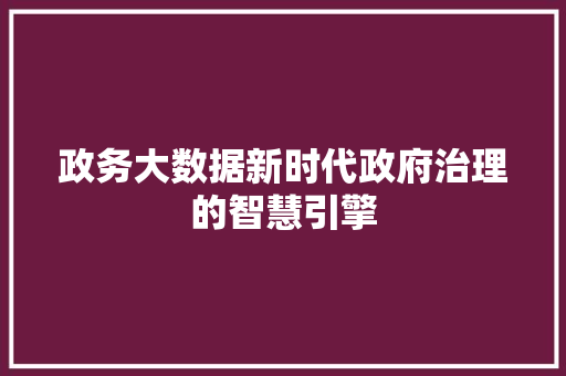 政务大数据新时代政府治理的智慧引擎  第1张