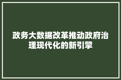 政务大数据改革推动政府治理现代化的新引擎  第1张