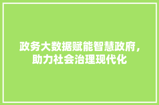 政务大数据赋能智慧政府，助力社会治理现代化  第1张