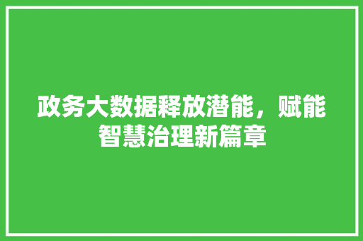 政务大数据释放潜能，赋能智慧治理新篇章  第1张
