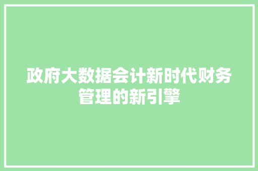 政府大数据会计新时代财务管理的新引擎  第1张