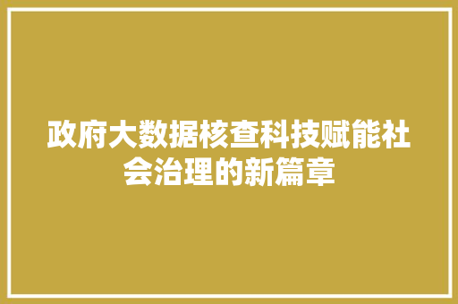 政府大数据核查科技赋能社会治理的新篇章  第1张