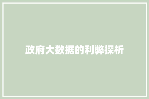 政府大数据的利弊探析  第1张