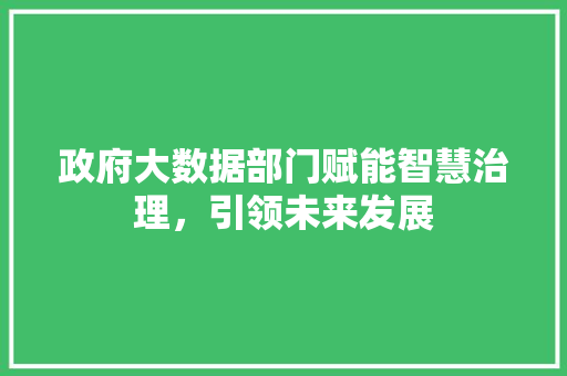政府大数据部门赋能智慧治理，引领未来发展  第1张