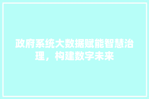 政府系统大数据赋能智慧治理，构建数字未来  第1张