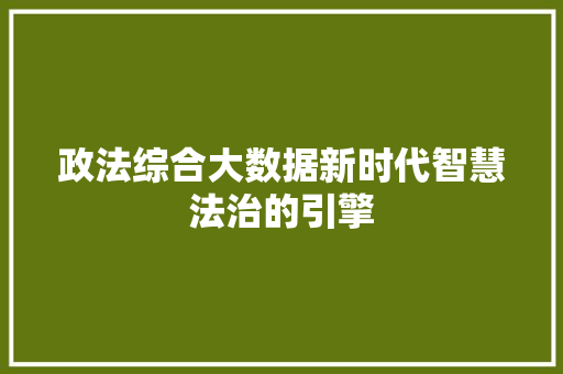 政法综合大数据新时代智慧法治的引擎  第1张