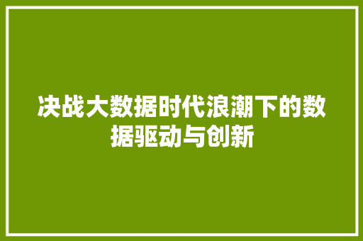 决战大数据时代浪潮下的数据驱动与创新