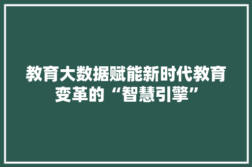 教育大数据赋能新时代教育变革的“智慧引擎”  第1张