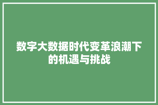 数字大数据时代变革浪潮下的机遇与挑战  第1张