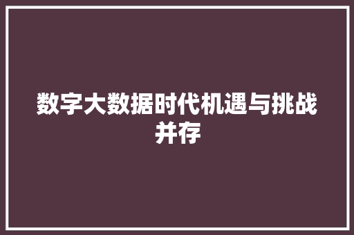 数字大数据时代机遇与挑战并存  第1张