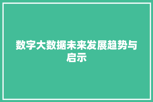 数字大数据未来发展趋势与启示  第1张