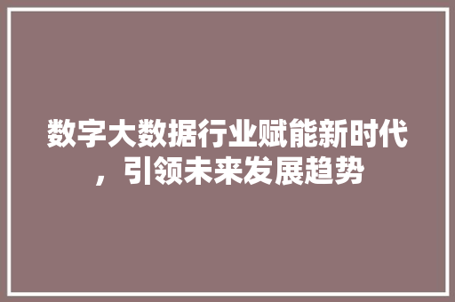 数字大数据行业赋能新时代，引领未来发展趋势  第1张