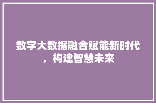 数字大数据融合赋能新时代，构建智慧未来  第1张
