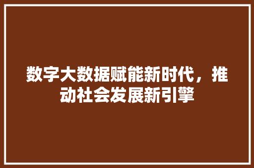 数字大数据赋能新时代，推动社会发展新引擎  第1张