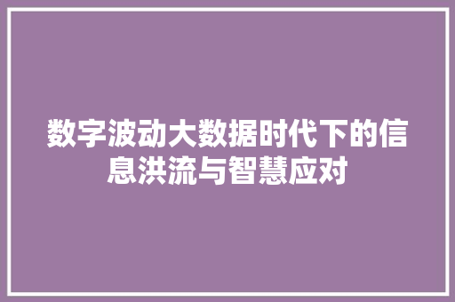 数字波动大数据时代下的信息洪流与智慧应对