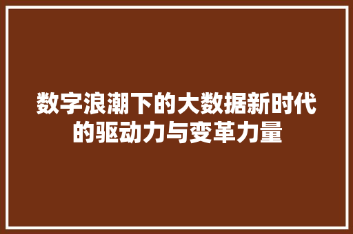 数字浪潮下的大数据新时代的驱动力与变革力量  第1张