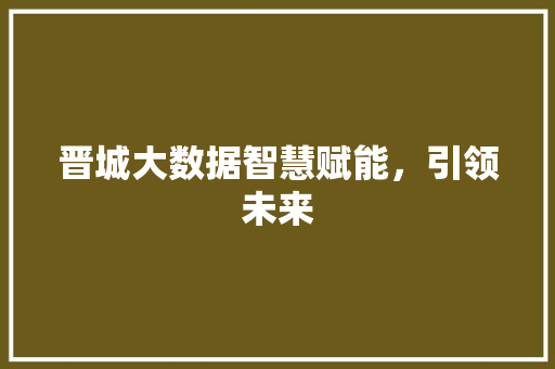 晋城大数据智慧赋能，引领未来  第1张