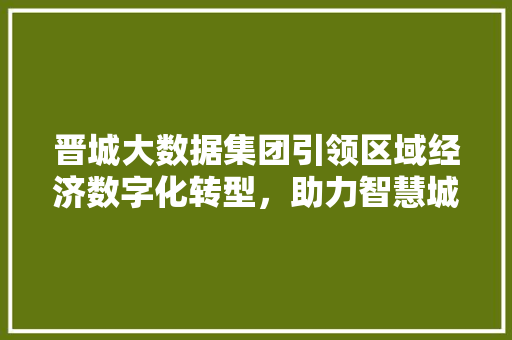 晋城大数据集团引领区域经济数字化转型，助力智慧城市建设