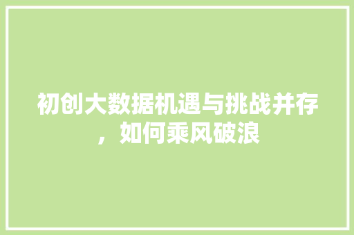 初创大数据机遇与挑战并存，如何乘风破浪  第1张