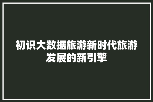 初识大数据旅游新时代旅游发展的新引擎  第1张