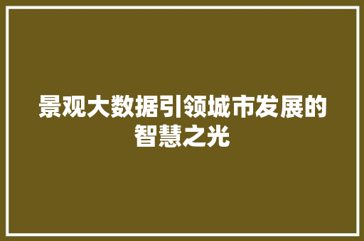 景观大数据引领城市发展的智慧之光  第1张