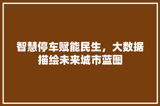 智慧停车赋能民生，大数据描绘未来城市蓝图  第1张