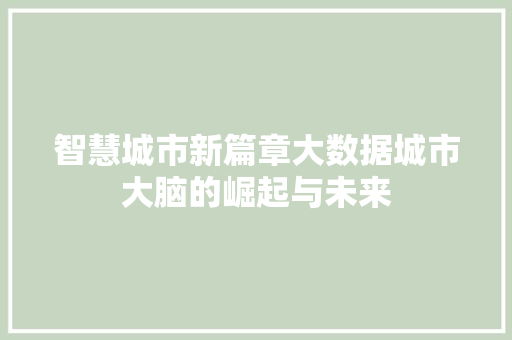 智慧城市新篇章大数据城市大脑的崛起与未来  第1张