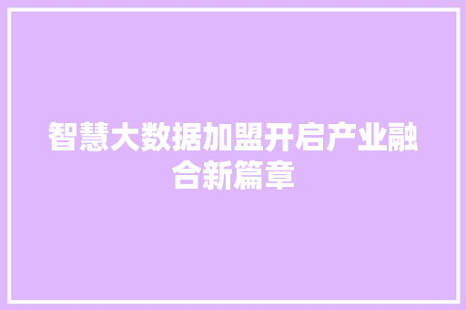 智慧大数据加盟开启产业融合新篇章  第1张