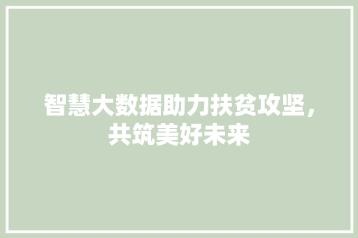 智慧大数据助力扶贫攻坚，共筑美好未来  第1张