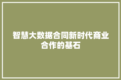智慧大数据合同新时代商业合作的基石