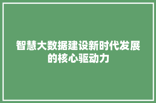 智慧大数据建设新时代发展的核心驱动力  第1张