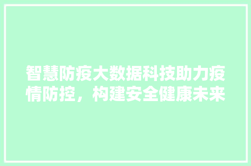 智慧防疫大数据科技助力疫情防控，构建安全健康未来  第1张