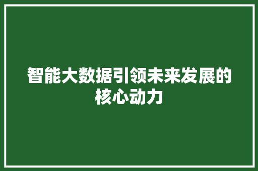 智能大数据引领未来发展的核心动力  第1张