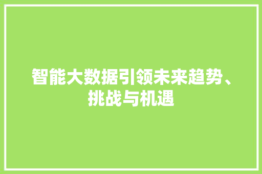 智能大数据引领未来趋势、挑战与机遇  第1张