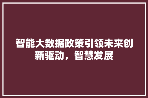 智能大数据政策引领未来创新驱动，智慧发展  第1张