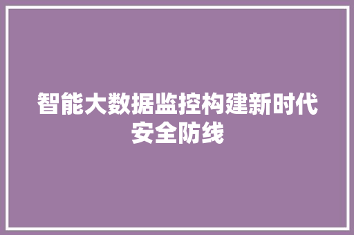智能大数据监控构建新时代安全防线  第1张