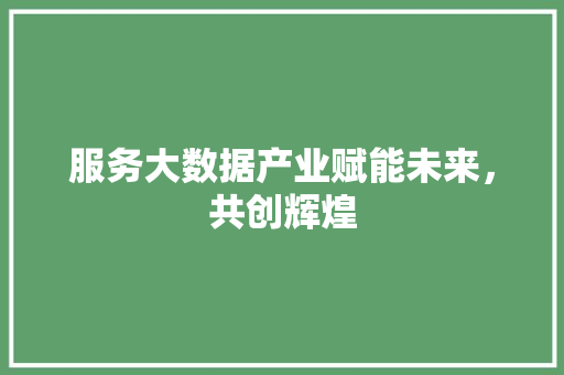 服务大数据产业赋能未来，共创辉煌  第1张