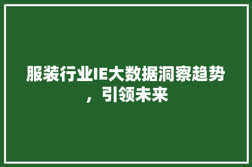 服装行业IE大数据洞察趋势，引领未来